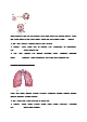 COPD 문헌고찰   (6 페이지)
